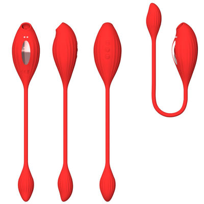 ODM 10 ترددات عسل الجنس لعب G بقعة محفز USB شحن